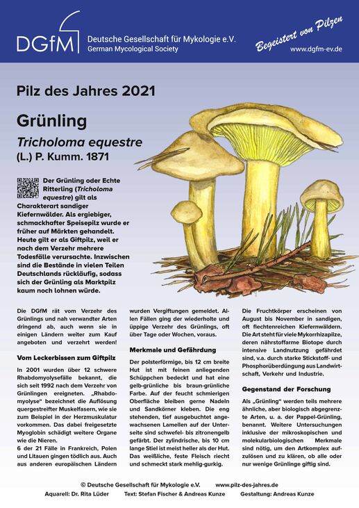 Plaklat Pilz des Jahres 2021 Grünling