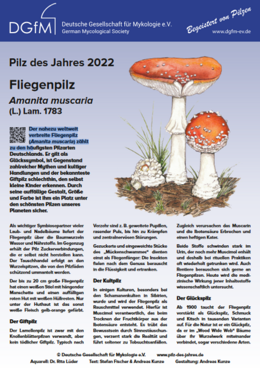 Plakat Pilz des Jahres 2022 Fliegenpilz, Format A2