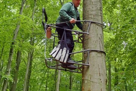 Feldmykologen müssen manchmal hoch hinaus.